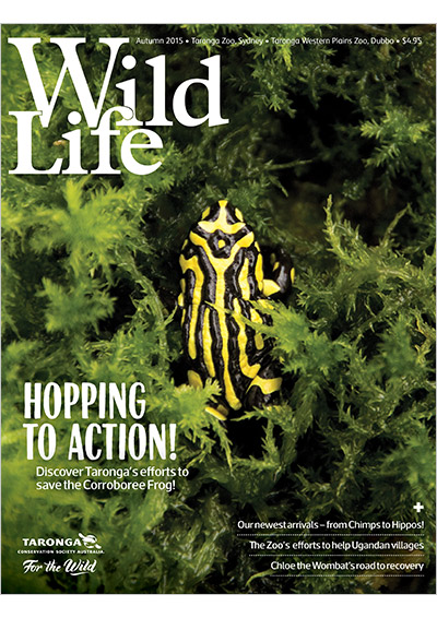Publication