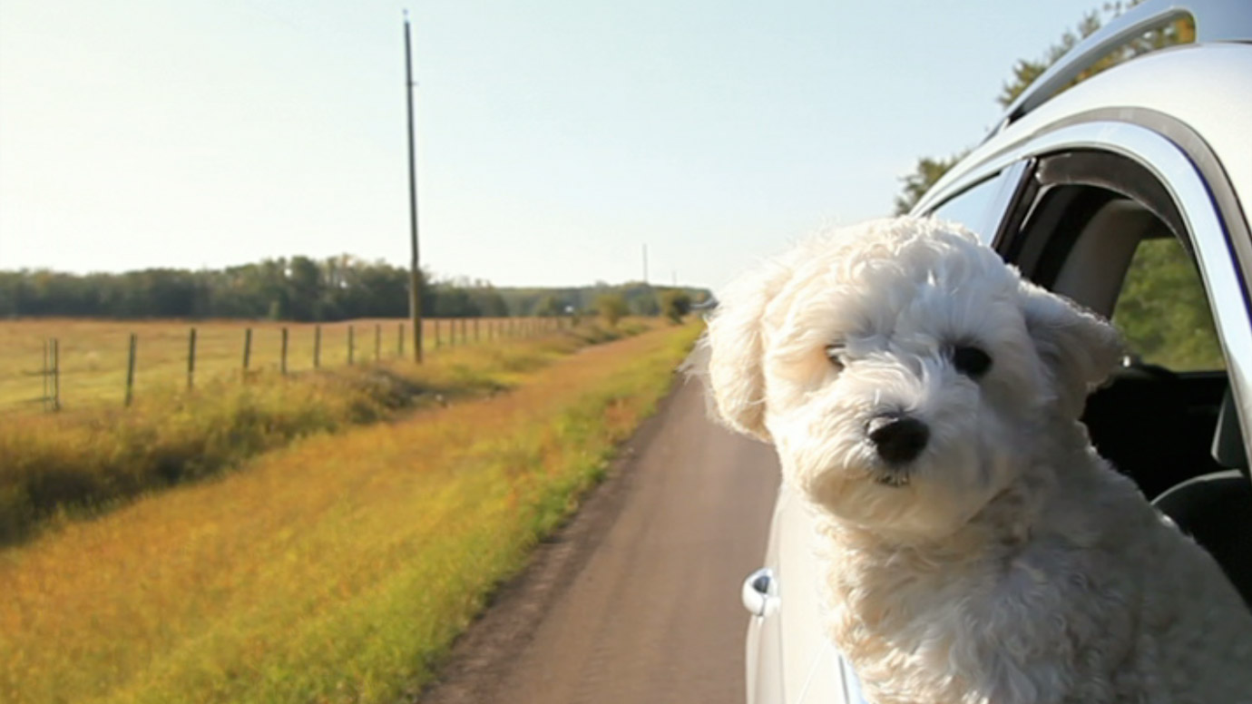 Frame from Citrus Media hero video